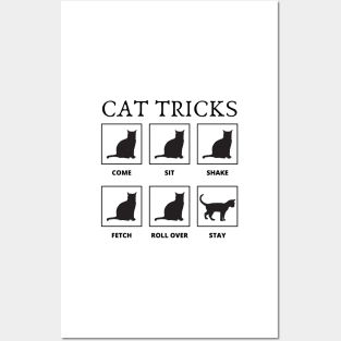 Cat tricks Posters and Art